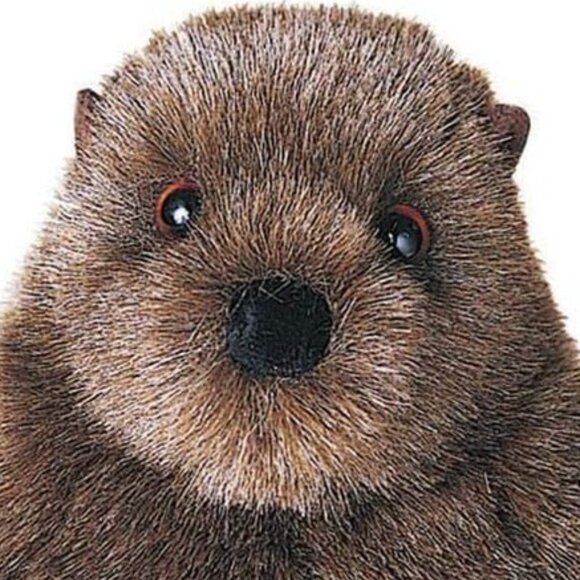 Douglas Plush New w/ Tag Groundhog Chuckwood Wild Stuffed Animal 11" - Picture 7 of 10